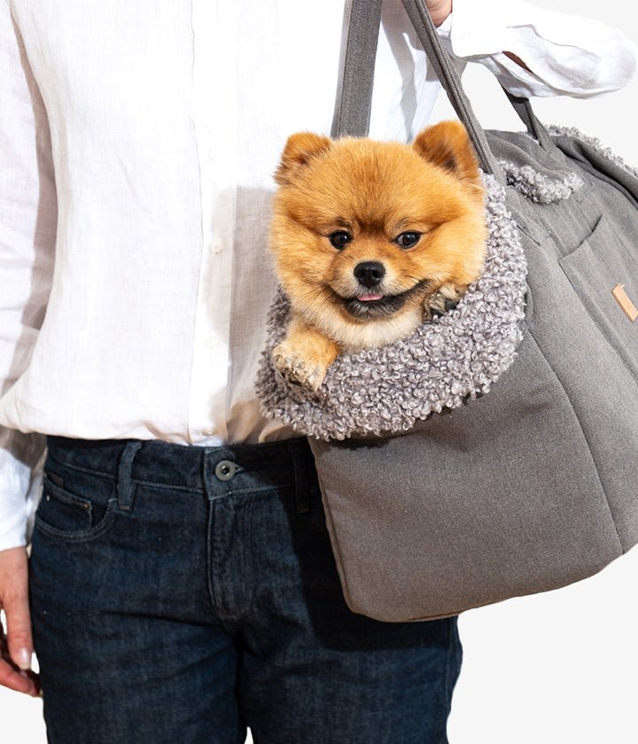 Lucky Canvas - Luxury Dog Bag