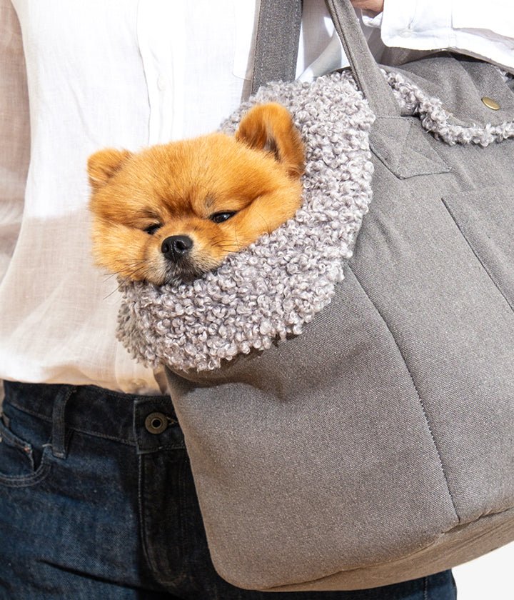Lucky Canvas - Luxury Dog Bag in Gray