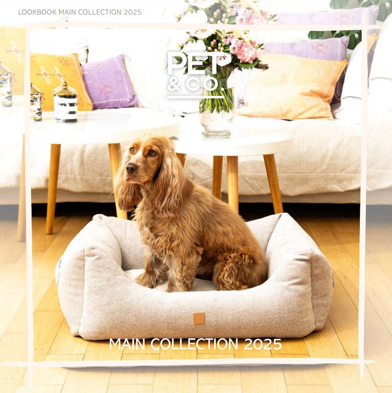 PET & Co. Main Collection 2025