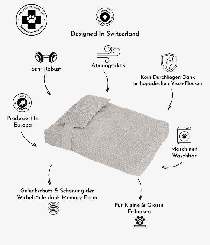 Lignes d'Orion grises