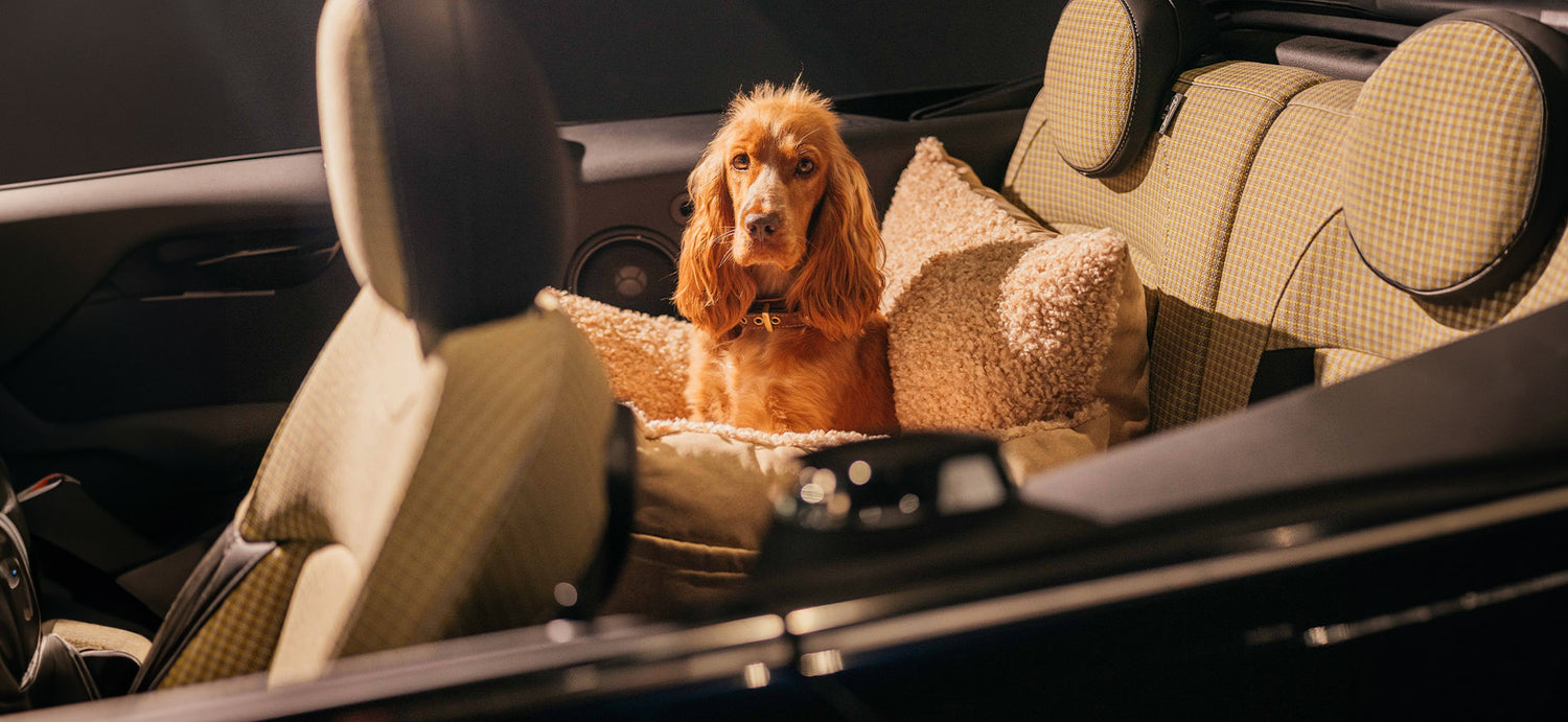 Car Seat Online - Pet & Co. 