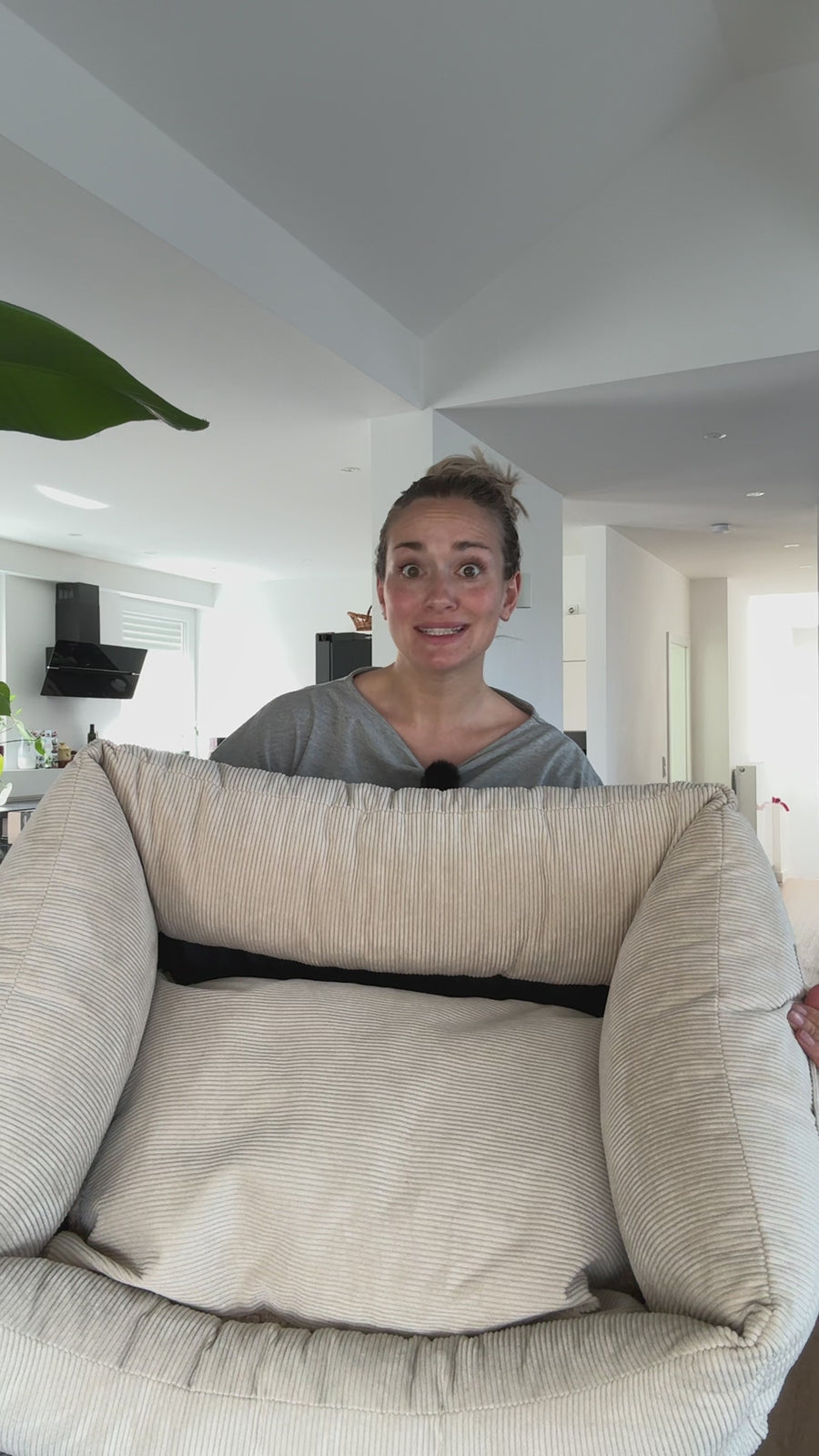 Kingston Basic -  Luxury Dog Bed