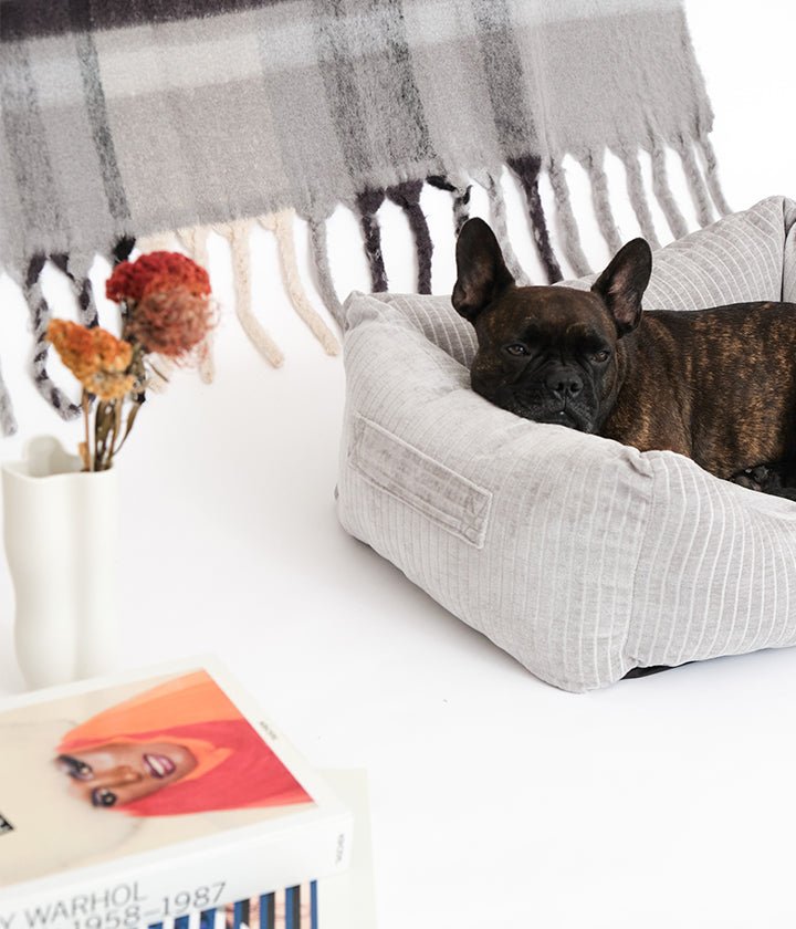 Sol Double Face Gris