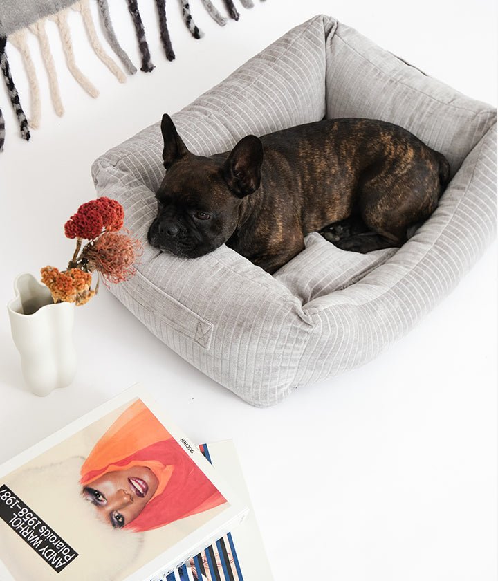 Sol Double Face Gris