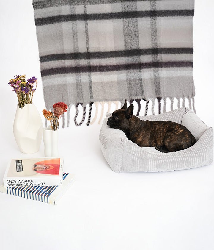 Sol Double Face Gris