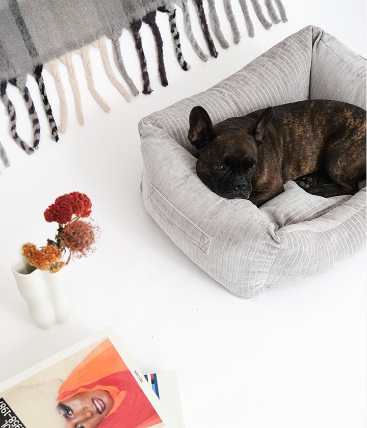 Sol Double Face Gris