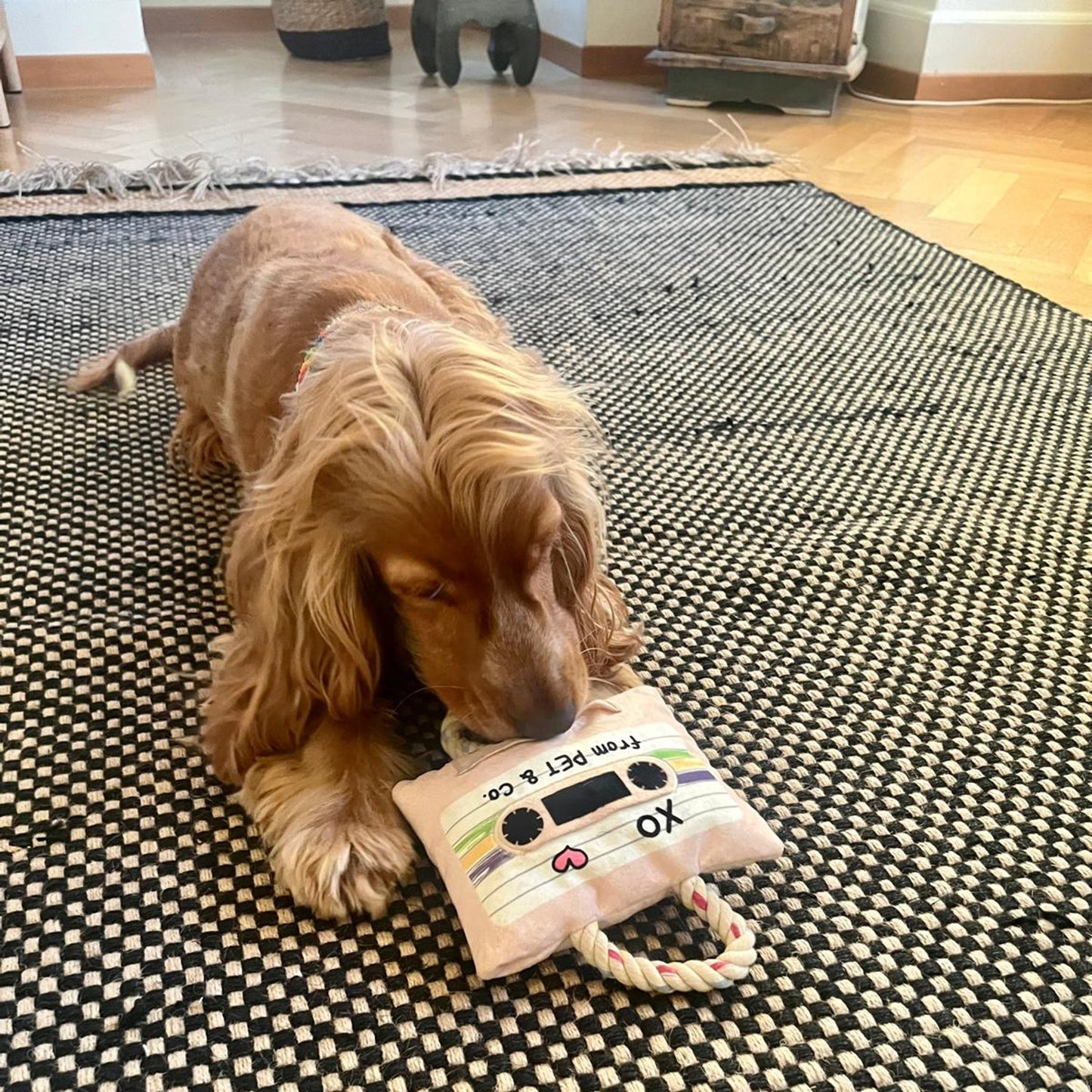 Toy Boombamm - funny feature Toy