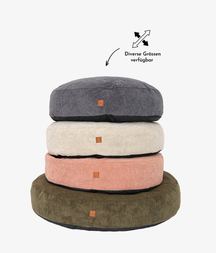 multi color dog pouf available - ROI