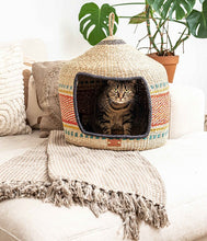Load image into Gallery viewer, Cat inside cave - lily 
