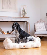 Load image into Gallery viewer, comfortable dog bed
