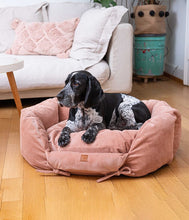 Load image into Gallery viewer, Dog resting on his favourite nest—Ronny Cord
