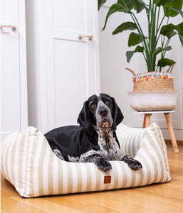 dog bed online - kingston striped