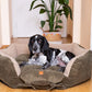comfortable dog bed 