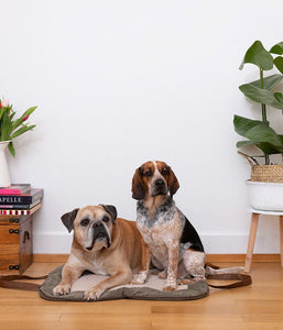 comfortable dog mat - charly canvas