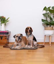 Laden Sie das Bild in den Galerie-Viewer, Dogs resting on Charly - Cord
