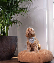 Load image into Gallery viewer, Dusky Pink modern dog pouf - ROI

