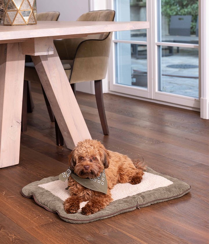 Comfortable and practical Charly - Cord