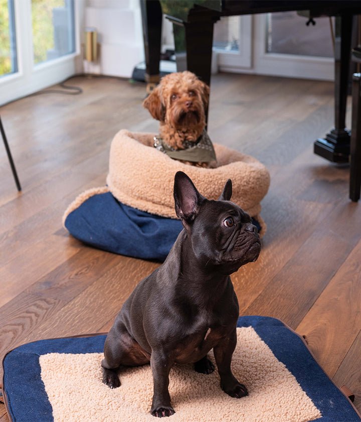 2 in 1 effect - snuggle bag and blankets