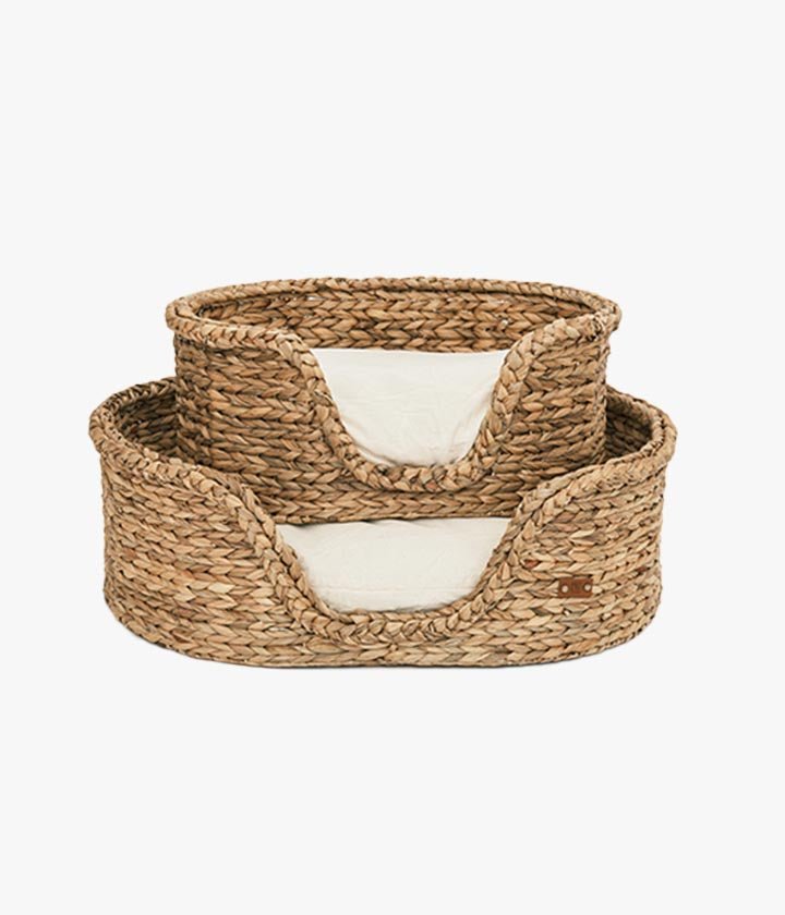 Luxury Goofy - Dog Basket