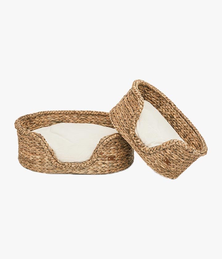 Luxury Goofy - Dog Basket