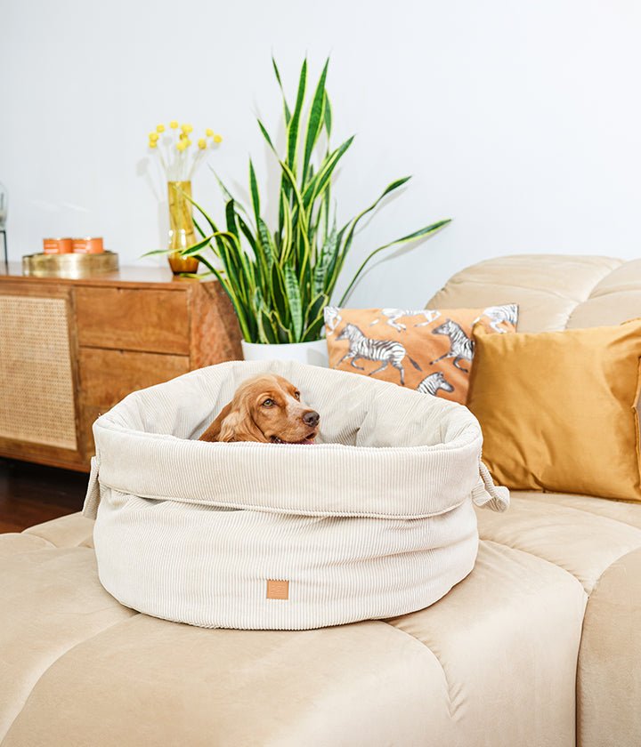 Louis Cord - Luxury Dog Basekt in Sand