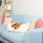 comfortable dog bed online