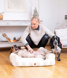 dog bed Protects joints and supports the spine