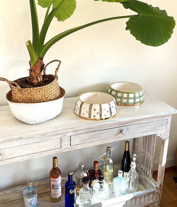 Luxury Dog Food Bowle Yummy