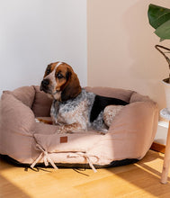 Laden Sie das Bild in den Galerie-Viewer, dog sitting comfortably on ronny leine
